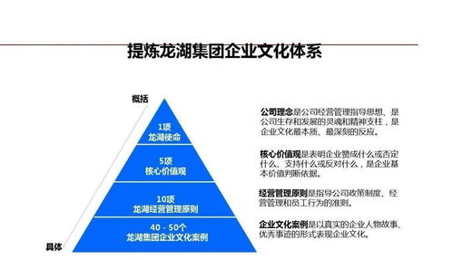 龍湖企業管理與運營精細化管理